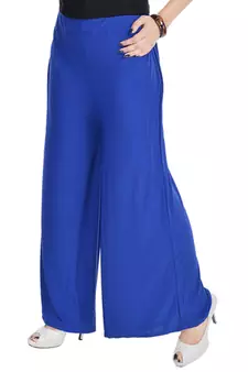 Blue Chiffon Solid Palazzo