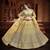 Delightful Yellow Zari, Sequins and thread Embroidered net semi stitched lehenga