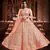 Bewitching Peach Orange Zari, Sequins and thread Embroidered georgette semi stitched lehenga