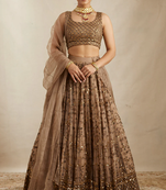 Brown Sequin Embroidered Net fabric indian Lehenga choli dress