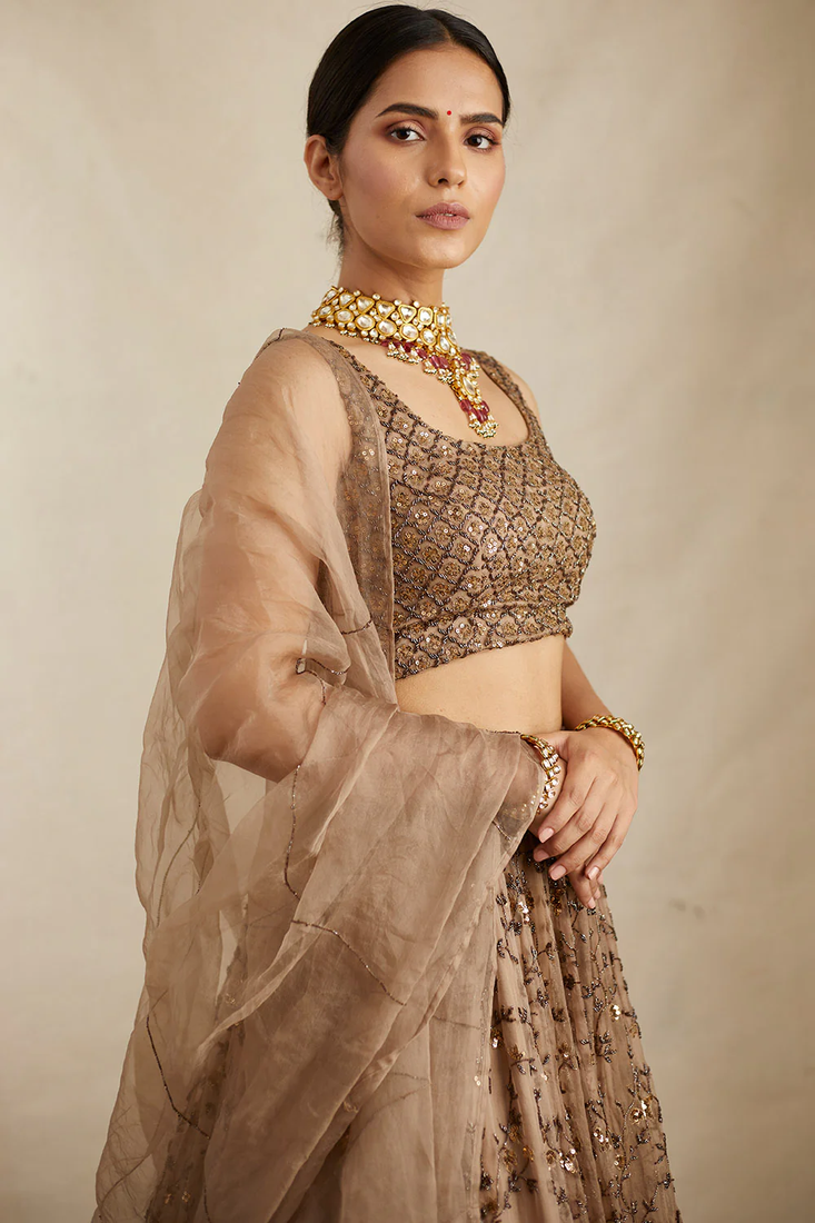 Brown Sequin Embroidered Net fabric indian Lehenga choli dress