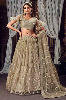 inviting Light-brown sequins, zari and thread embroidered net semi stitched lehenga