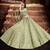 Mesmerizing Pista green Zari, Sequins and thread Embroidered net semi stitched lehenga