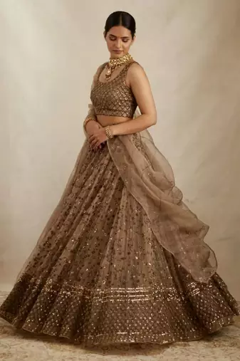 Brown Sequin Embroidered Net fabric indian Lehenga choli dress