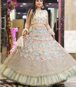 Light Green Thread Embroidered Net Fabric Lehenga choli