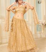 winning Golden thread embroidery net Semi Stitched Lehenga