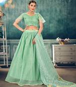 adorable Light-green thread embroidery net Semi Stitched Lehenga
