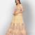 Gorgeous Light Yellow Thread Embroidered with Foil Mirror Organza Semi Stitched Ghagra choli