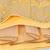 Mesmerizing Mustard Thread embroidered with Foil Mirror Organza Bridal Lehenga choli