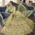 Yuma Lime Yellow zarkan, zari and thread embroidered crepe-silk semi stitched lehenga