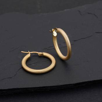 Golden earrings 1