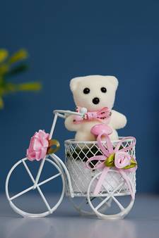 eCraftIndia White Cycle with Teddy Bear and Rose Petals Gift Box