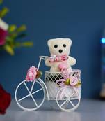 eCraftIndia White Cycle with Teddy Bear and Rose Petals Gift Box