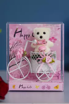 eCraftIndia White Cycle with Teddy Bear and Rose Petals Gift Box
