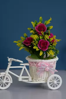 eCraftIndia Pink and White Cycle Basket Showpiece