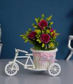 eCraftIndia Pink and White Cycle Basket Showpiece