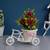 eCraftIndia Pink and White Cycle Basket Showpiece
