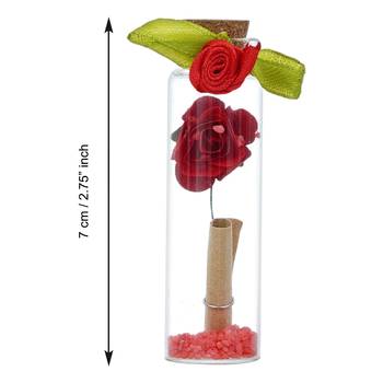 eCraftIndia Red Message Bottle Wooden Box Set 6