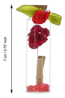 eCraftIndia Red Message Bottle Wooden Box Set