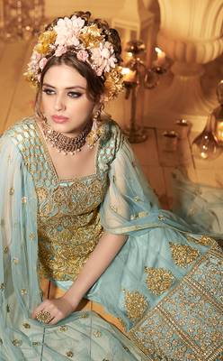 Sky-blue embroidered net salwar 4