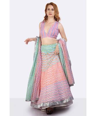 Mulmul Multi Coloured Lehenga With Gota Border, Blockprinted Dupatta 2
