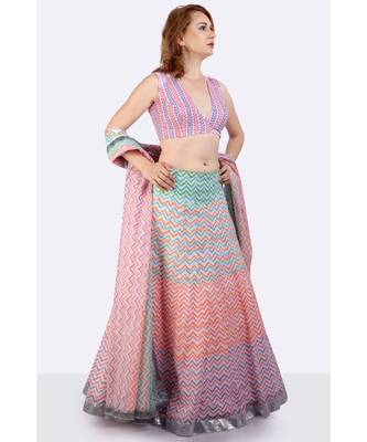 Mulmul Multi Coloured Lehenga With Gota Border, Blockprinted Dupatta 4
