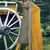 Olive embroidered satin salwar