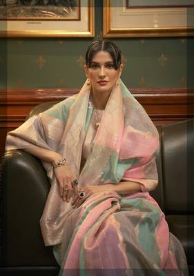 Multicolor woven organza saree with blouse 2