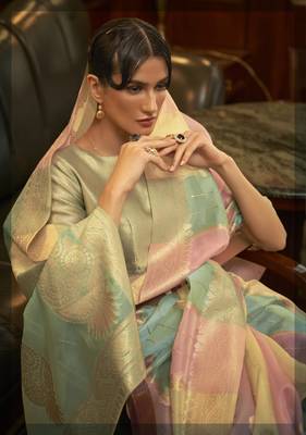 Multicolor woven organza saree with blouse 2