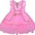 Pink Net stitched    dress