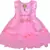 Pink Net stitched    dress