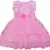 Pink Net stitched    dress