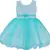 blue Net stitched    dress