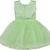 Green Net stitched    dress