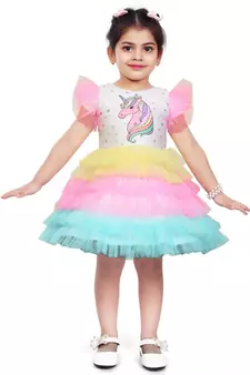 Multicolor Net stitched    dress