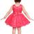 Pink Net stitched    dress