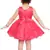 Pink Net stitched    dress