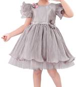 Grey Net stitched    dress