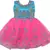 blue Net stitched    dress