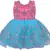 Pink Net stitched    dress