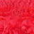 Red Tissue stitched    dress