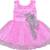 Pink Net stitched    dress