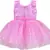 Pink Net stitched    dress