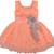 Orange Net stitched    dress