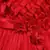 Red satin stitched    dress