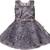 Grey Net stitched    dress
