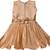 Beige satin stitched    dress