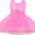 Pink Net stitched    dress