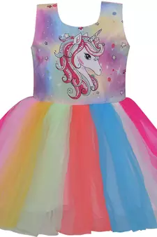 Multicolor Net stitched    dress