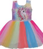 Multicolor Net stitched    dress